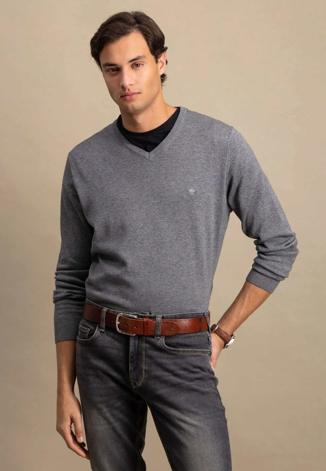 Pullover aus Baumwolle mit V-Ausschnitt